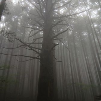 幻想的だなんて言わないよゼッタイ