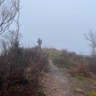 雨は降り続く☔余り寒く無いのが救いかな。