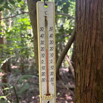 気温は22 度です♪