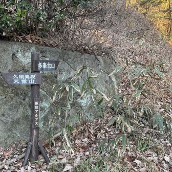 意を決して進む🚶‍♀️