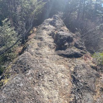 馬の背
ちょっと怖いです