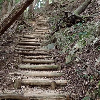 九合目付近の階段、急登です💦