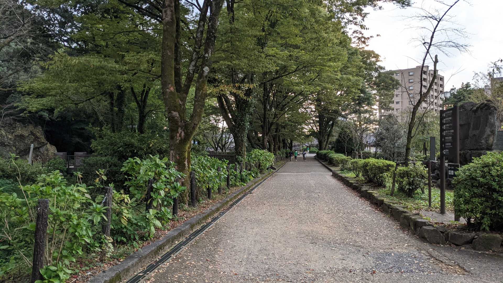 めい想の小径-金華山-七曲登山道 周回コースの写真