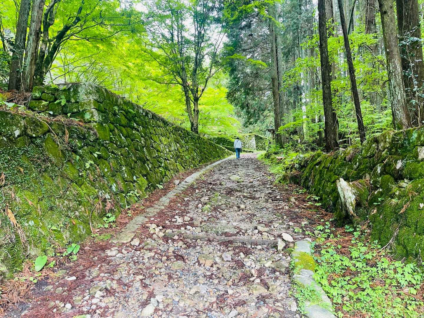 石垣が増えてきた～もうドロドロ。（笑）