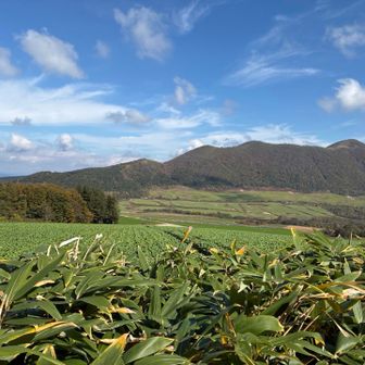 このから登る田代山