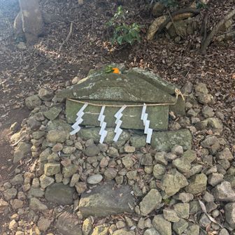 屋根だけだと思ってたのは、これが正解か🧐