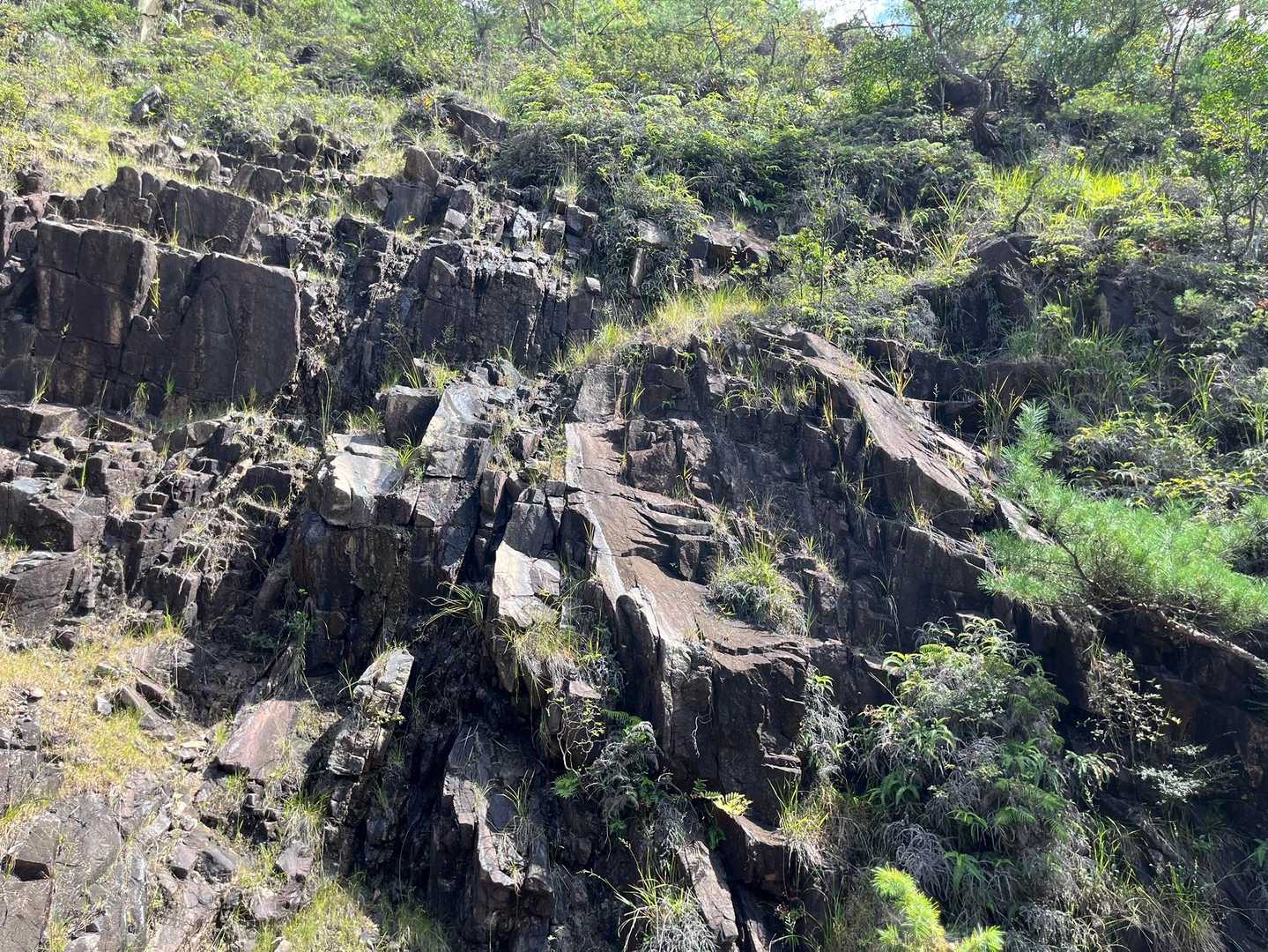 素敵な景色