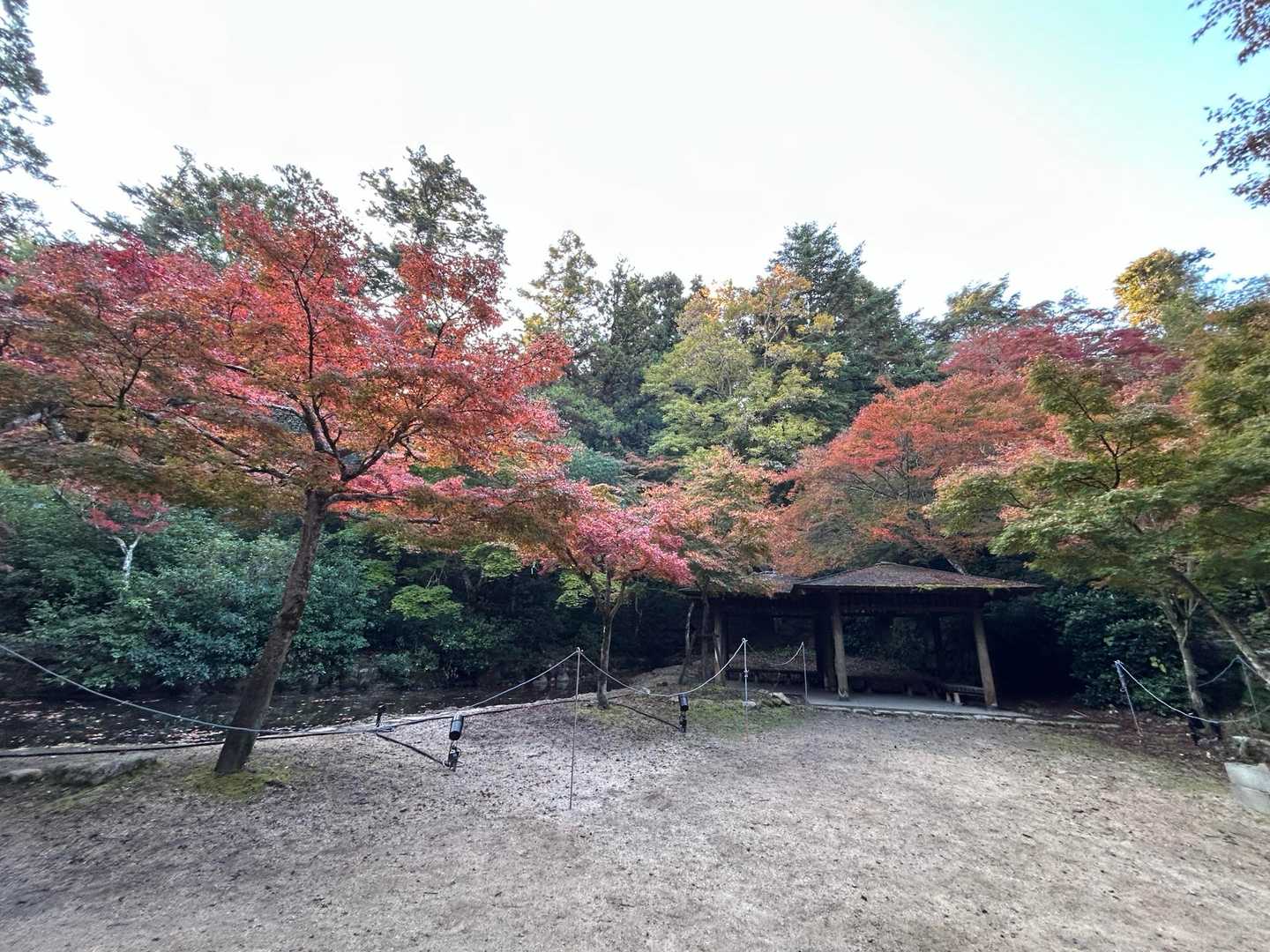 紅葉谷-弥山-大聖院 周回コースの写真