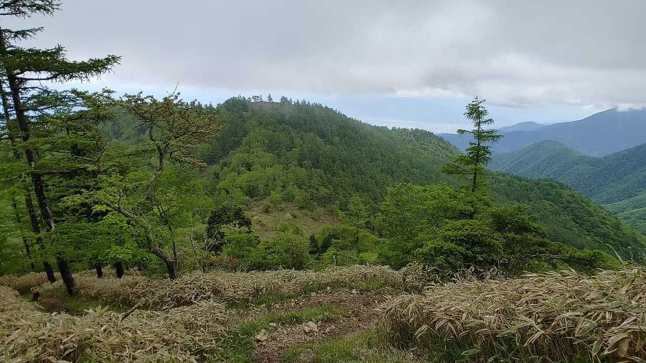 甘利山の写真