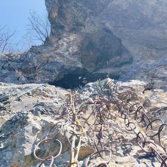 先遣部隊は本殿に到着！
次に僕も登りまーす！