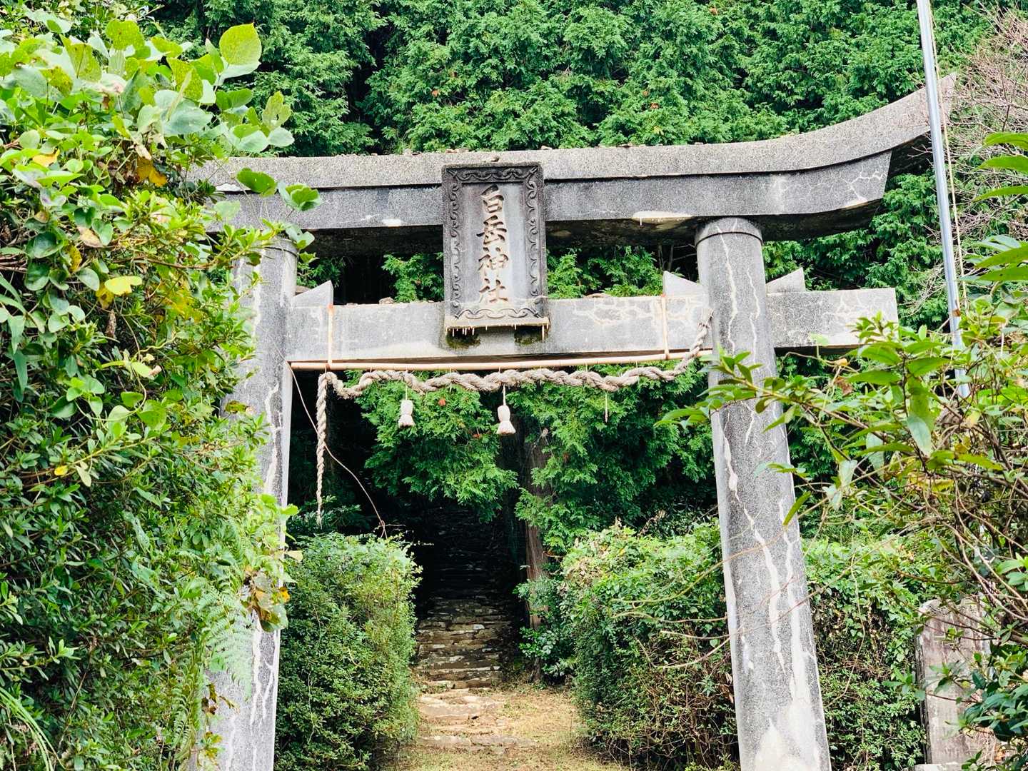 鳥居をくぐって、