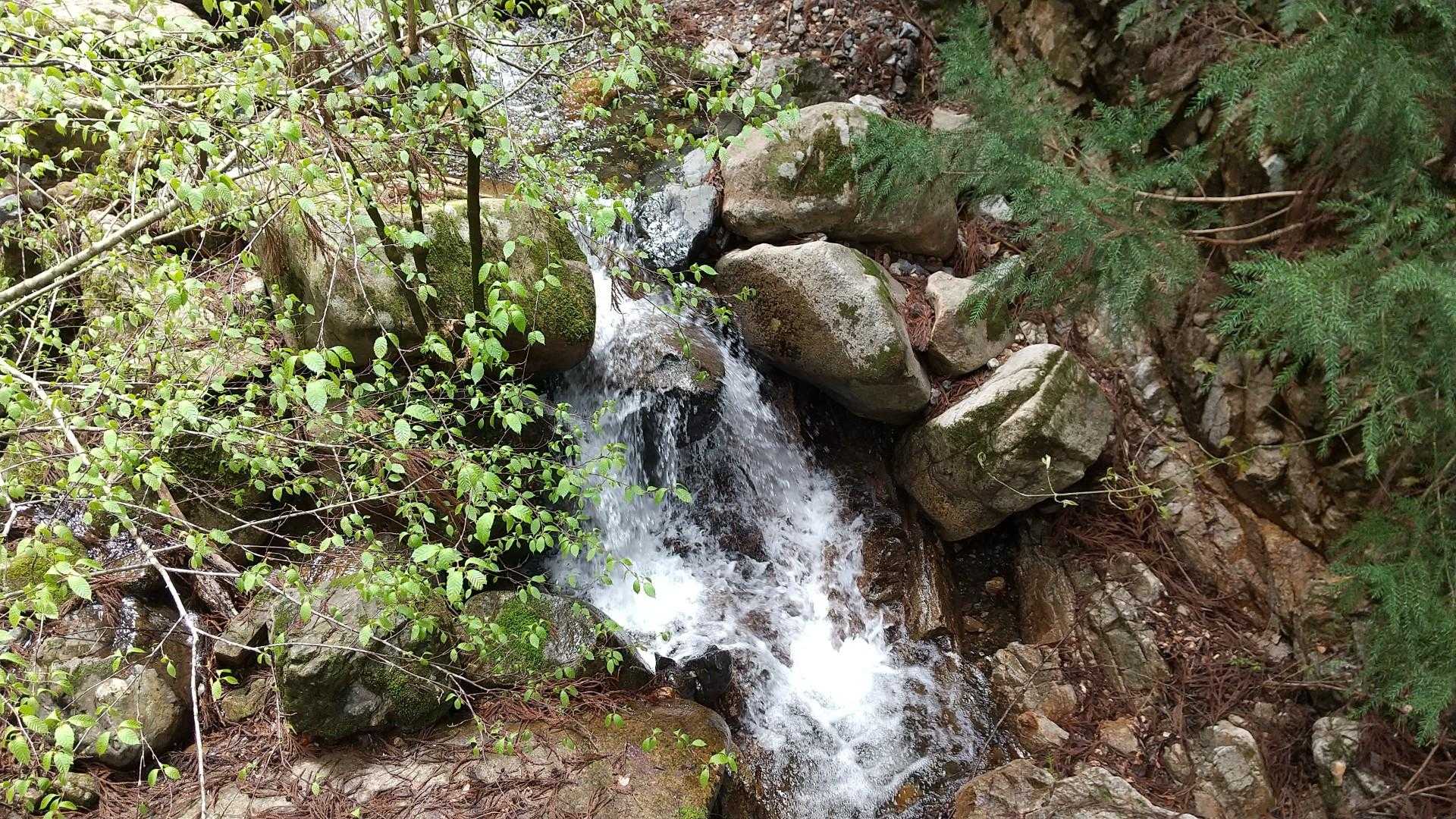 沢の水も水量豊か