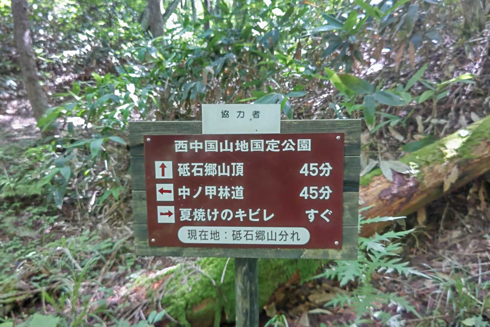 夏焼峠-砥石郷山 往復コースの写真