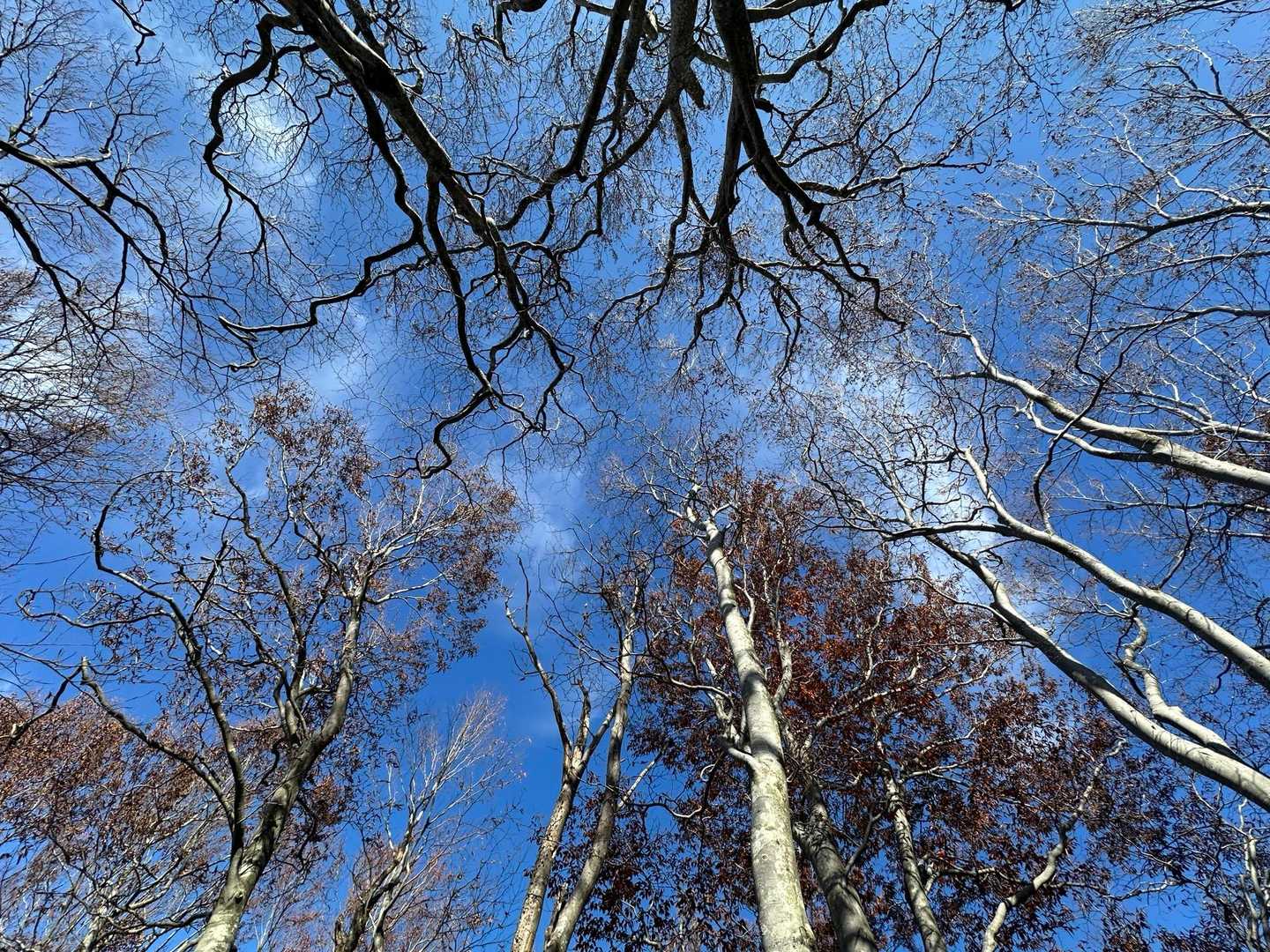 疲れた時の癒し秋空