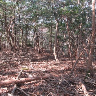 楯岩城跡はここを右へ下りて行きます
