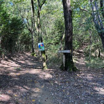 右、表平山分岐
