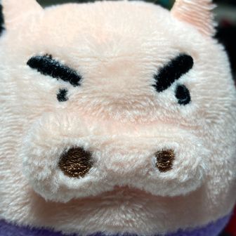 うさぎ🐰の旦那