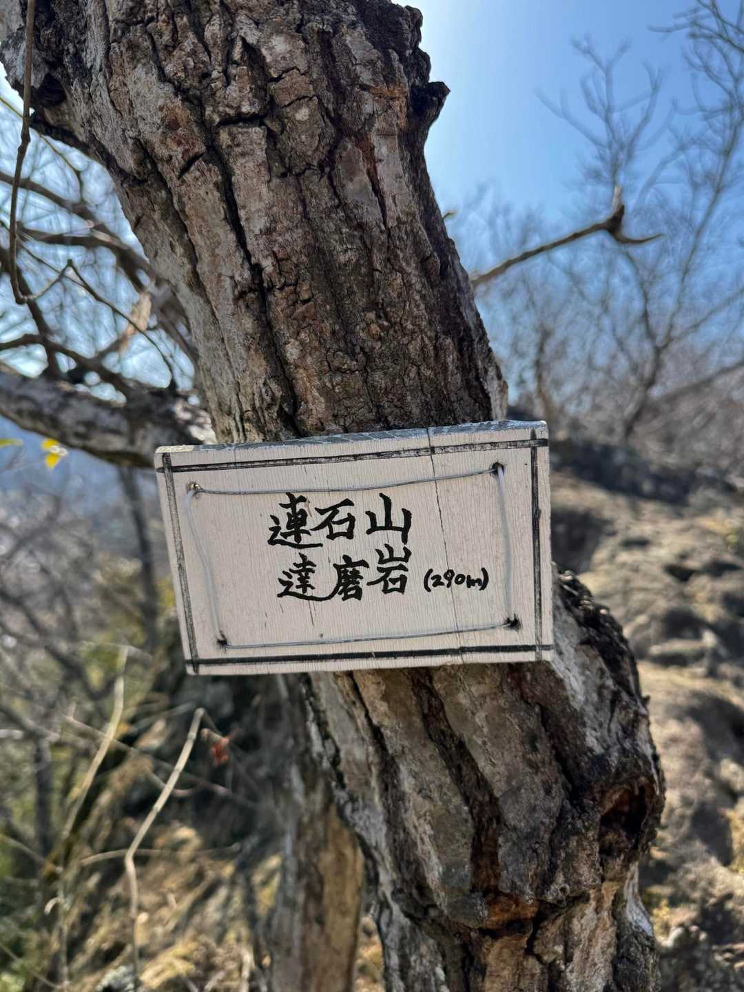 連石山…290m

こちらの山名板の針金も

ゆるめておきました。

この裏の岩が達磨岩か…
