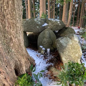 ﾊﾟﾝﾊﾟﾝ🙏
ちゃんと手入れされてる♡
ところでピーク🩶プレート見つけられず🥲