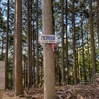 浅間嶺の山頂。ここからは眺望は良くないです。