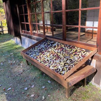 あー、干し芋だ🍠🤤