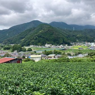 登山開始。向かいに大山、突先山?