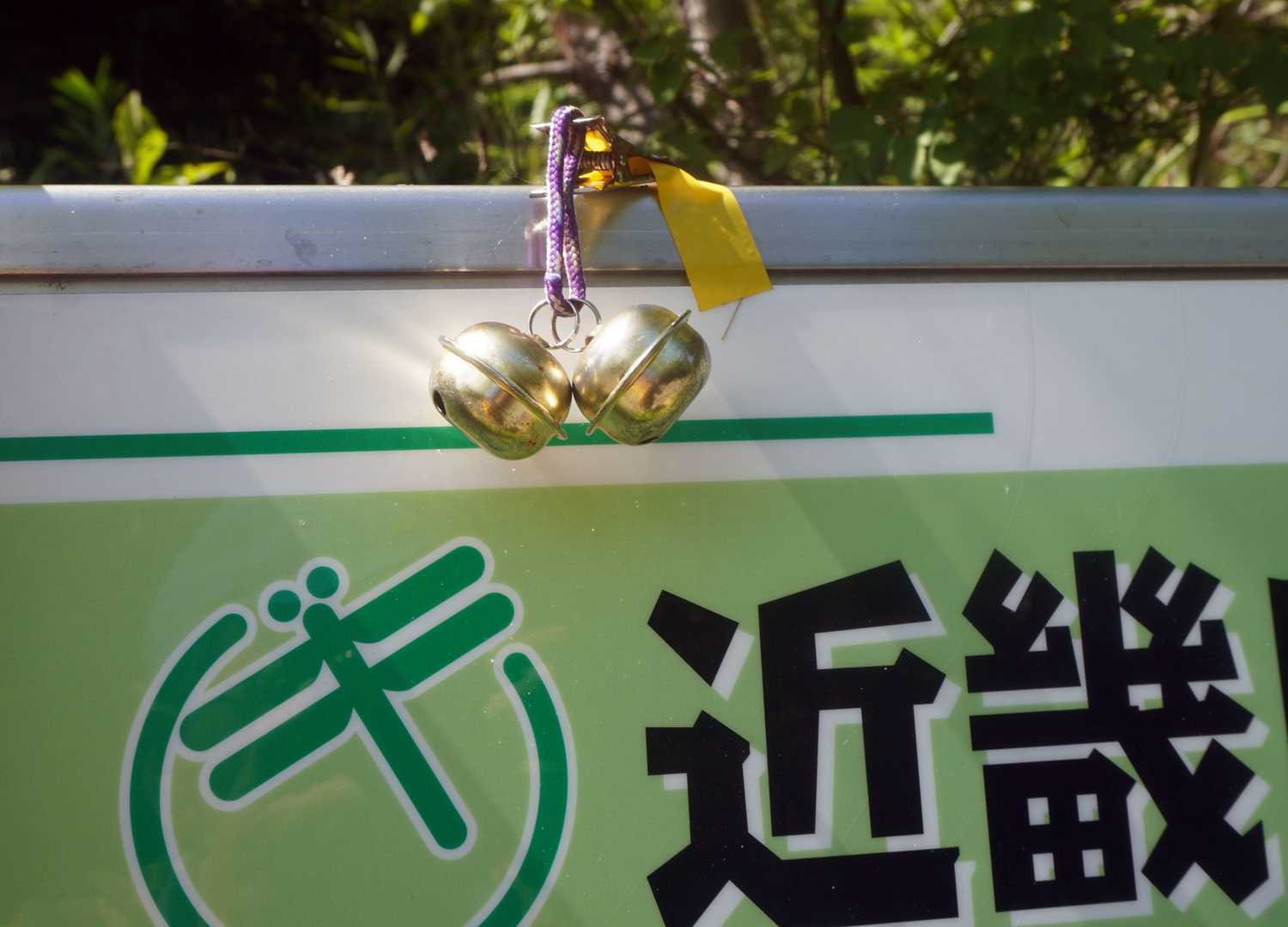 クマ🐻居るようですね
