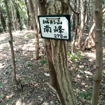 一旦下り、登り返しました。もう少し。