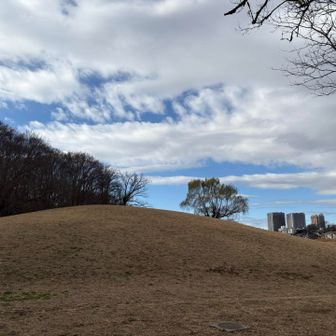 YAMAPでもピークとされているくじら山⛰️
ビルが近くに見える不思議な感覚になるお山でした(^^)
