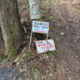 新ルートから焼森山へ