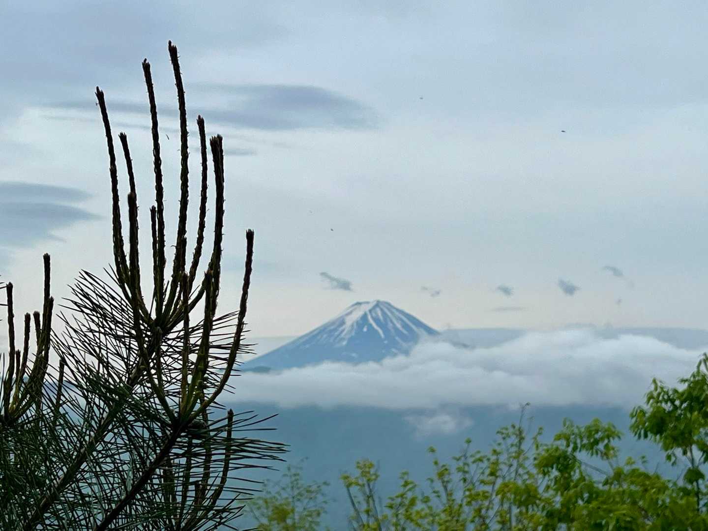 富士山を、真正面に見ながらの下山は、幸せ✨