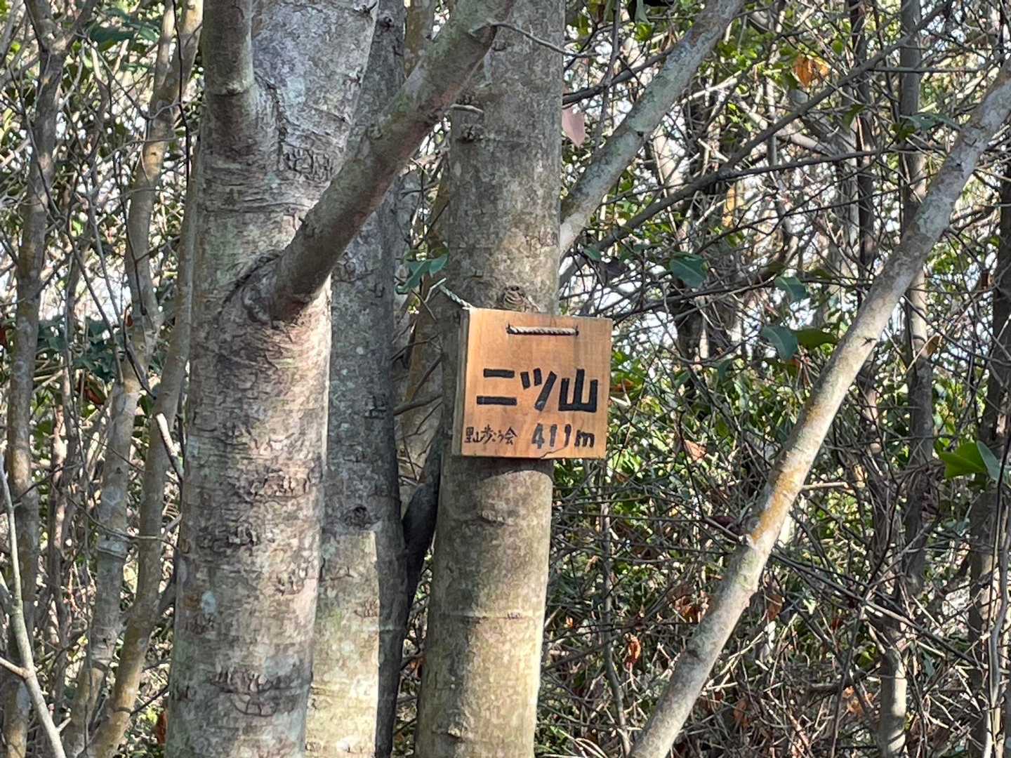 フタコブラクダの様なお山

だから"二ツ山"、なのですね♪(たぶん)