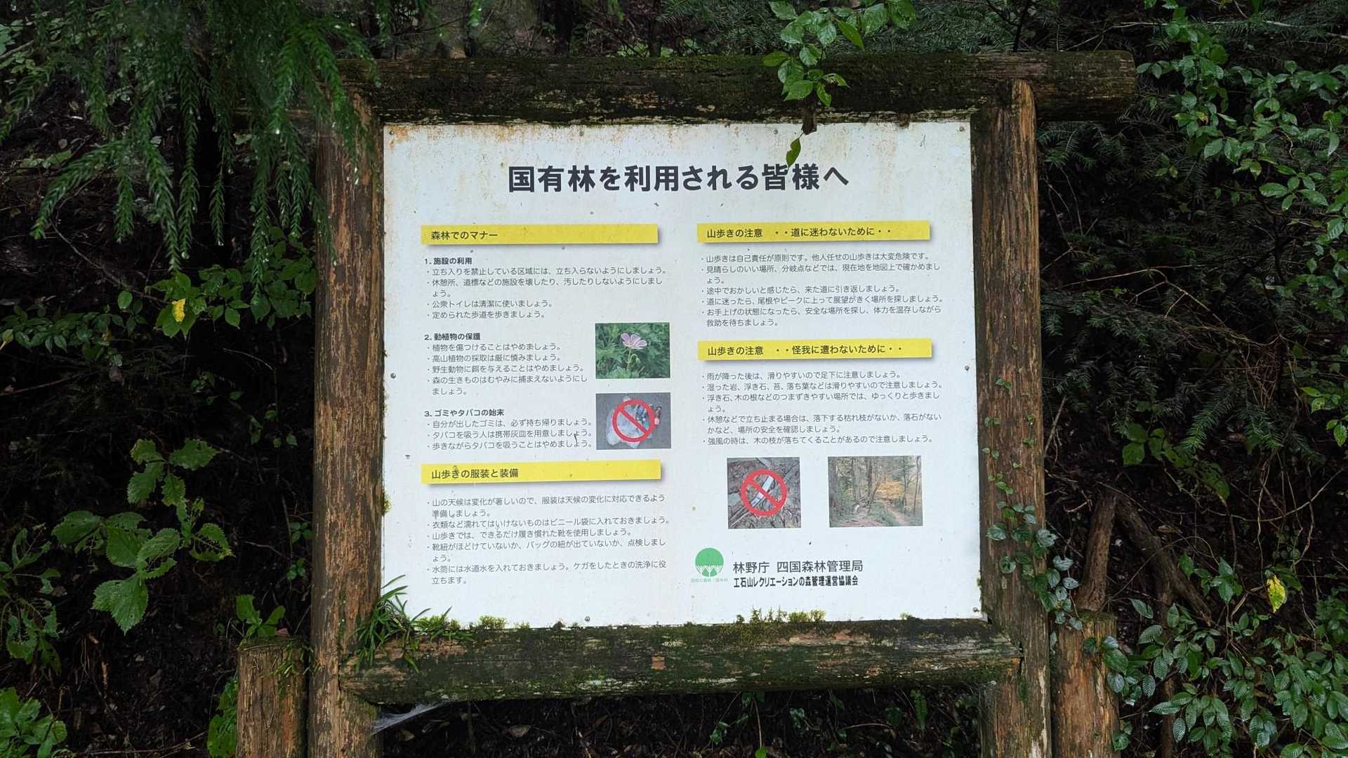 ふむふむふむ