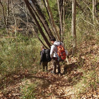 この先程なく車道に出ました🙆