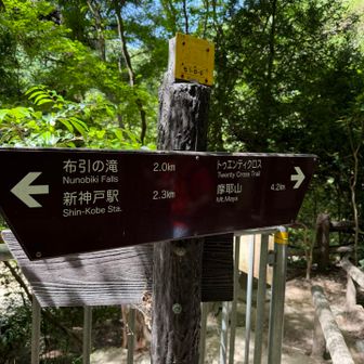 市ケ原
