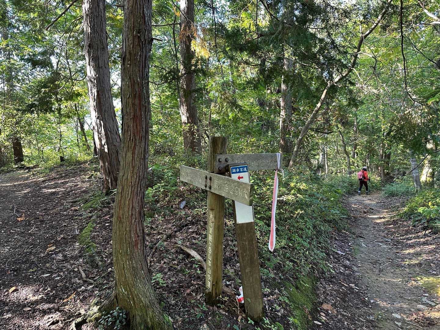 岩崎山-大岩山-賤ヶ岳-公法寺山-大平良山-権現峠-神明山 周回コースの写真