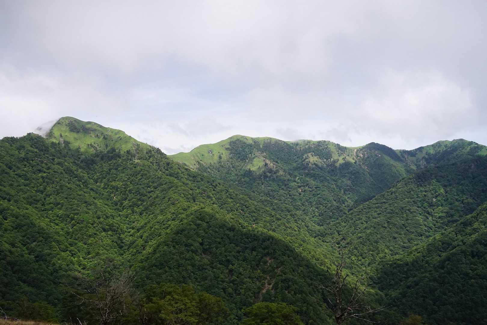 剣山・ジローギュー