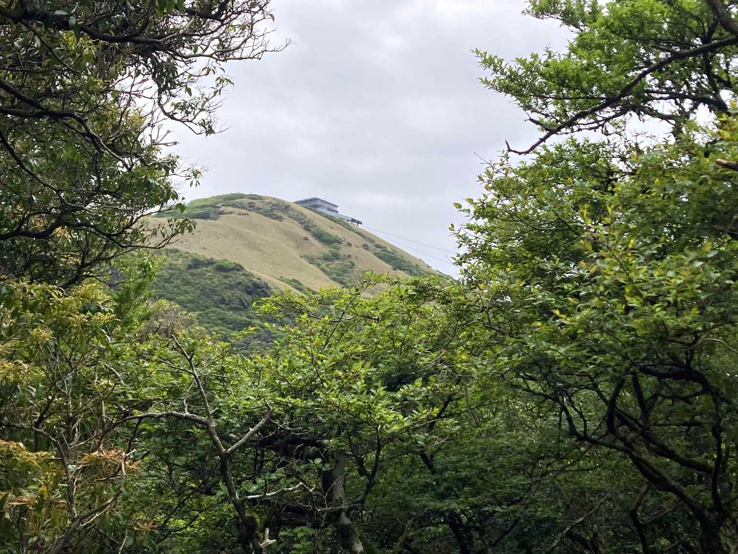 駒ヶ岳山頂が見えました