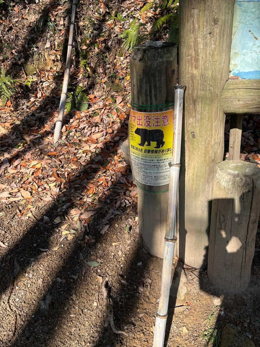クマは怖いっす。