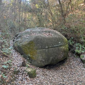 ハンバーガー岩🪨！