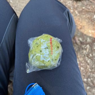 ランチをそそくさと切り上げたので、柚之木の頭でおやつを食す