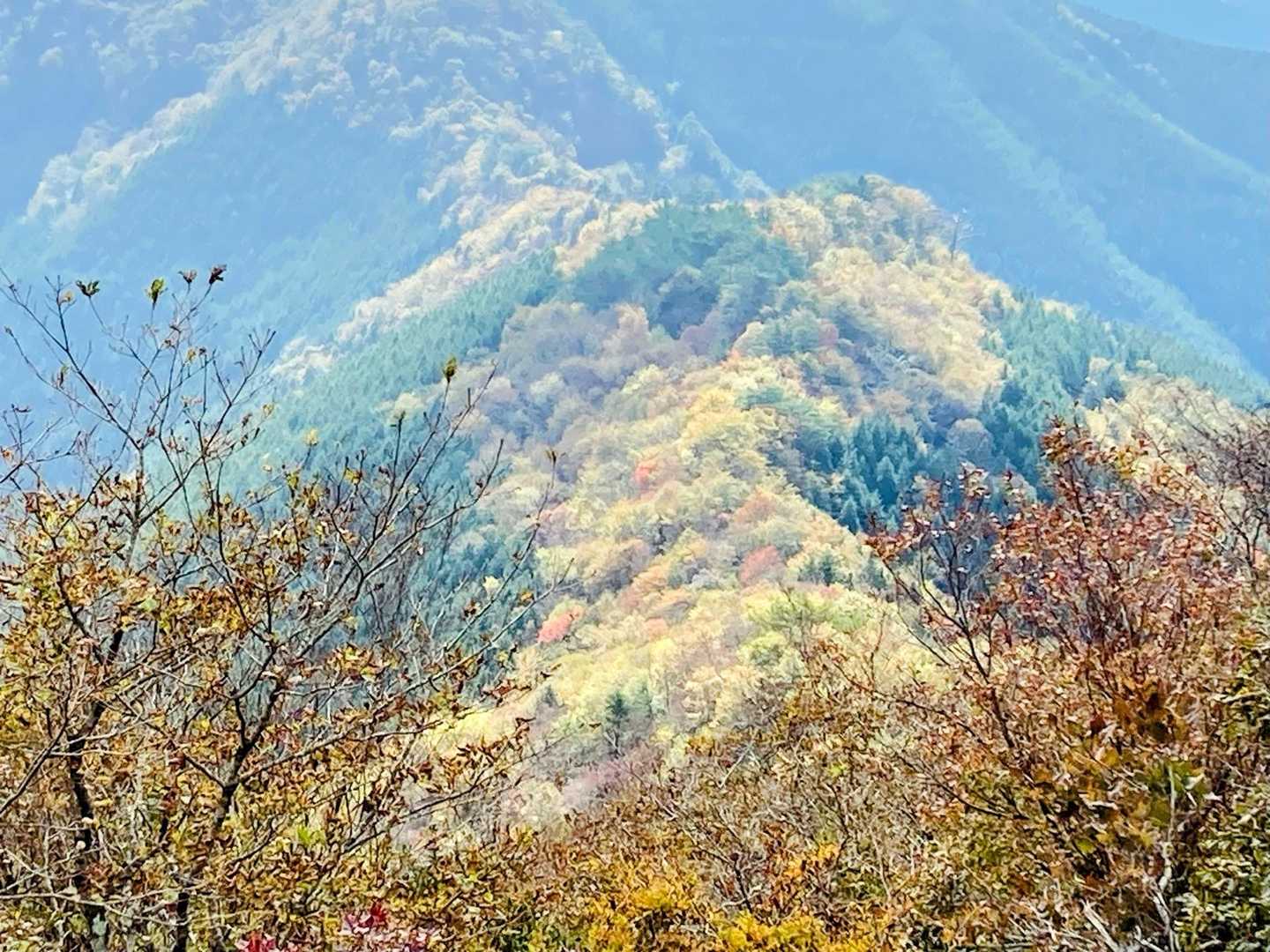口千丈岳登山口-口千丈山-焼山ノ太尾ノ頭 往復コースの写真