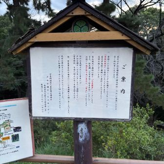 山頂