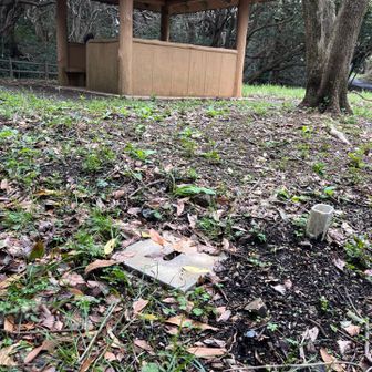 上ノ山の蓋付き三角点🙌