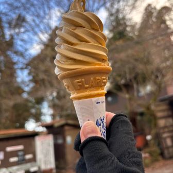鹿児島産紅はるか🍦
めっちゃうまでした😋