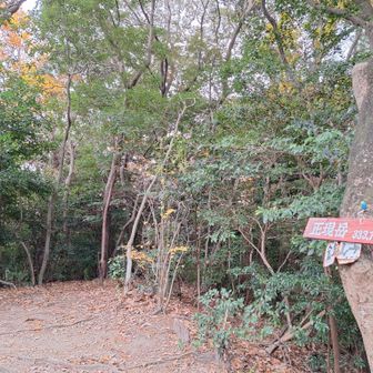 正現岳(しょうげんだけ)に到着❗
気付かずに通過してしまいそうな山頂😅雨は止んだみたいだ。