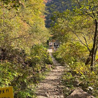 漸く登山口