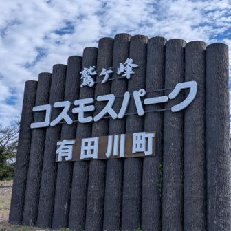 コスモがスパークしセブンセンシズに目覚めたら今日から君も聖闘士だ✨