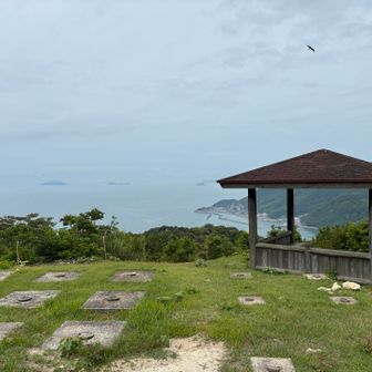 初めてくる場所は面白い！！
秘密基地見つけた(?)感じでわくわくすっぞ