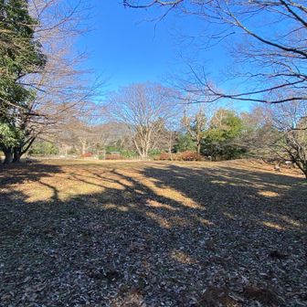 河村城跡（標高221）　
